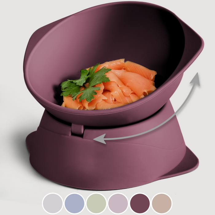 NE & NO Elevated Adjustable Silicone Cat Bowl