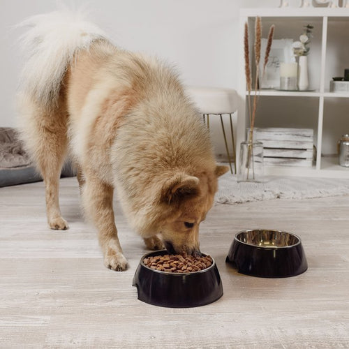 NE & NO Black Double Food Bowl Set