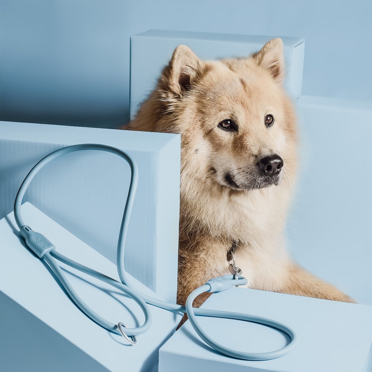 NE & NO Loft Style Weatherproof Dog Leash
