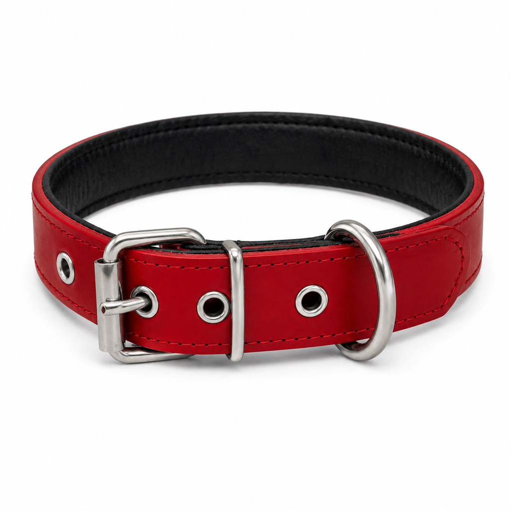 Collar Classic Rojo Mónaco