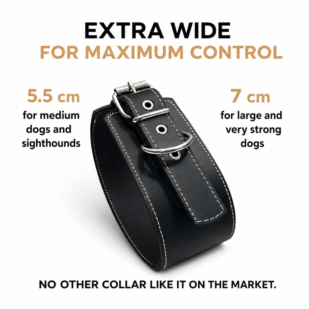 Collar Control Negro Mónaco