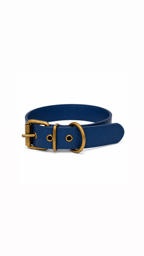 Collar Classic Azul Mónaco