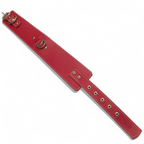 Collar Control Rojo Mónaco