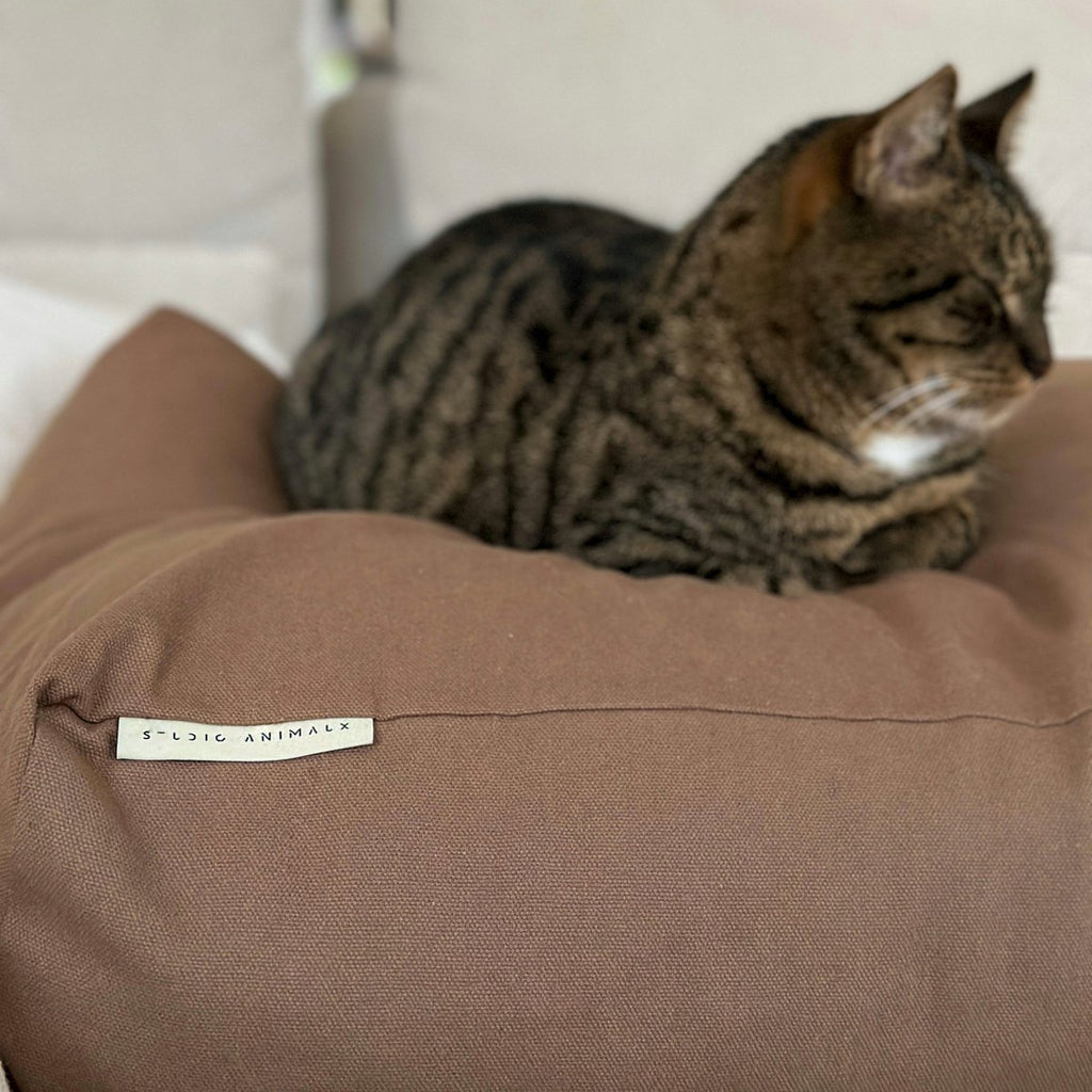 Dog & cat pillow | cotton | EPS pearl filling | mocha | size S | 70 x 50 x 15 cm