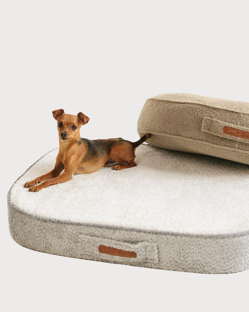 MERLIN Orthopedic Dog Mattress