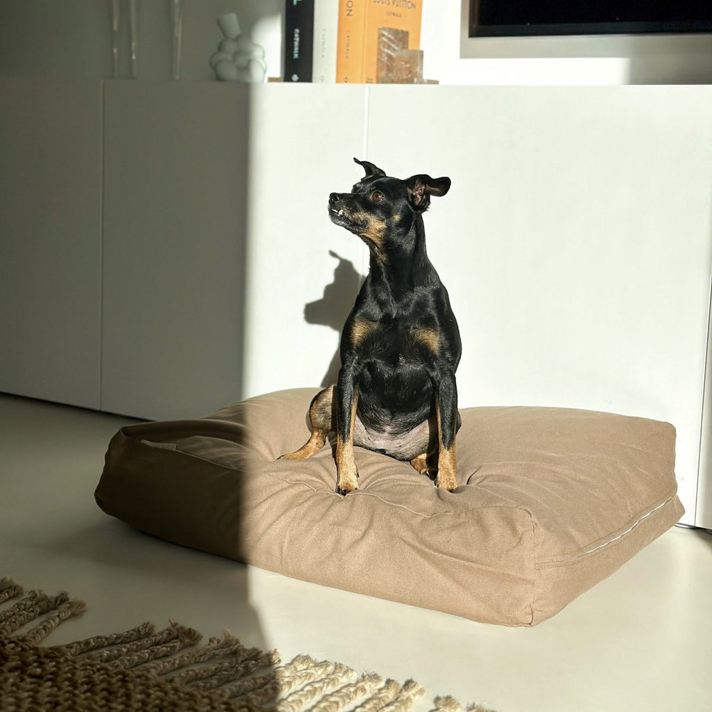 Dog & cat pillow | cotton | EPS pearl filling | mocha | size S | 70 x 50 x 15 cm