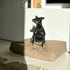 Dog & cat pillow | cotton | EPS pearl filling | mocha | size S | 70 x 50 x 15 cm