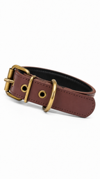 Collar Classic Marrón Mónaco