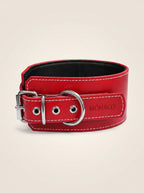 Collar Control Rojo Mónaco